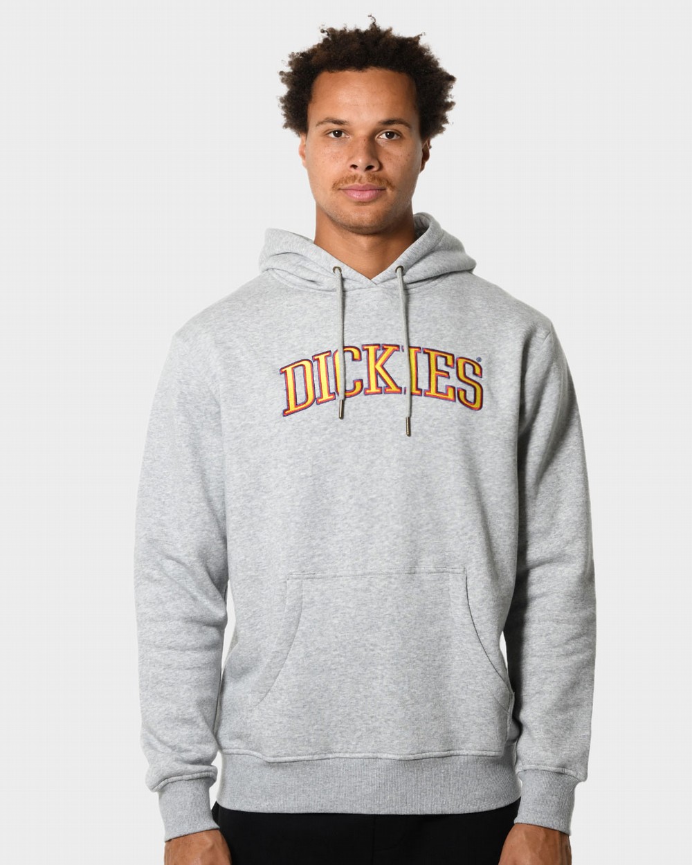 Grey 2025 college sweater